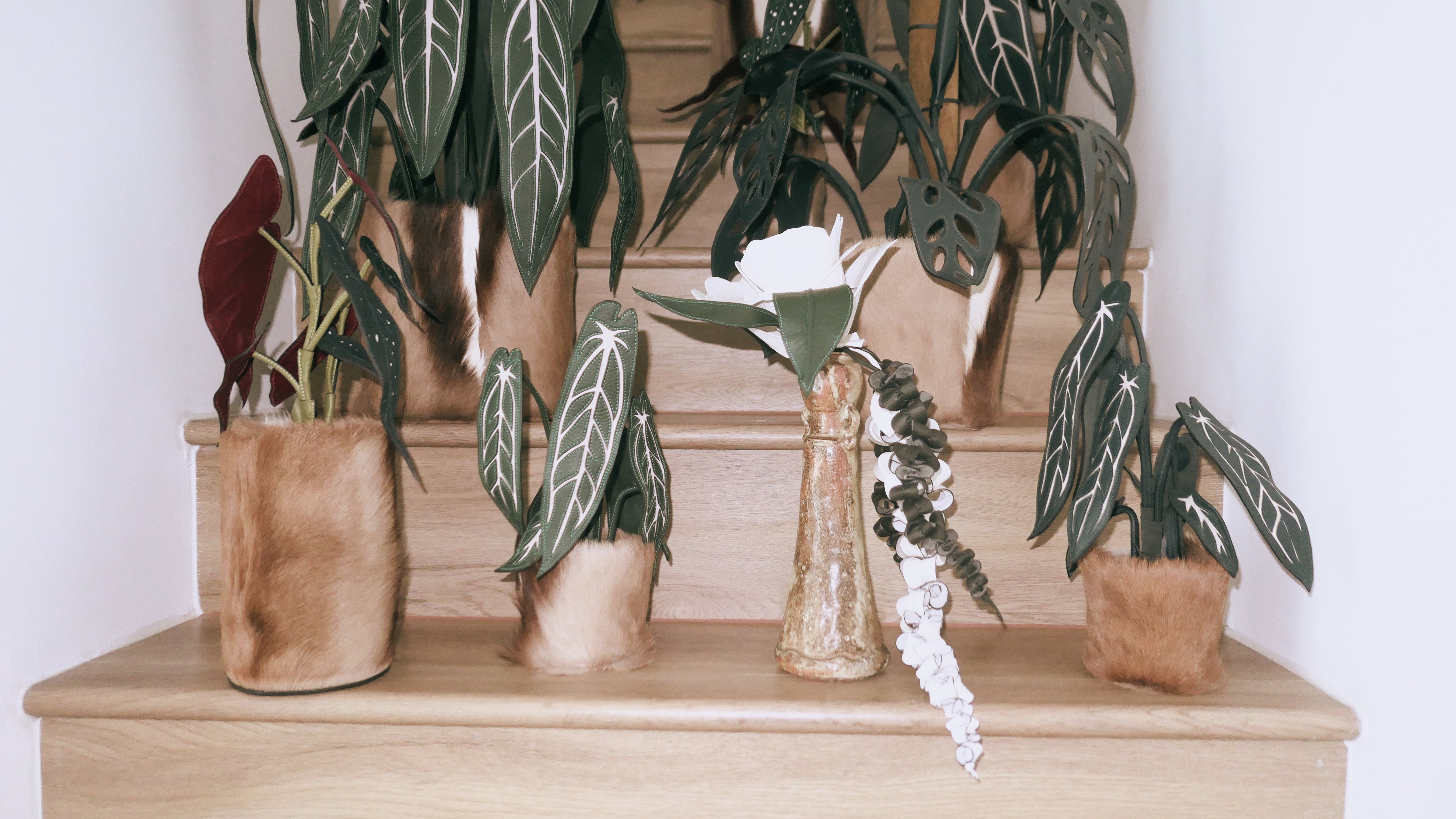 Nasha x Terra Tanned