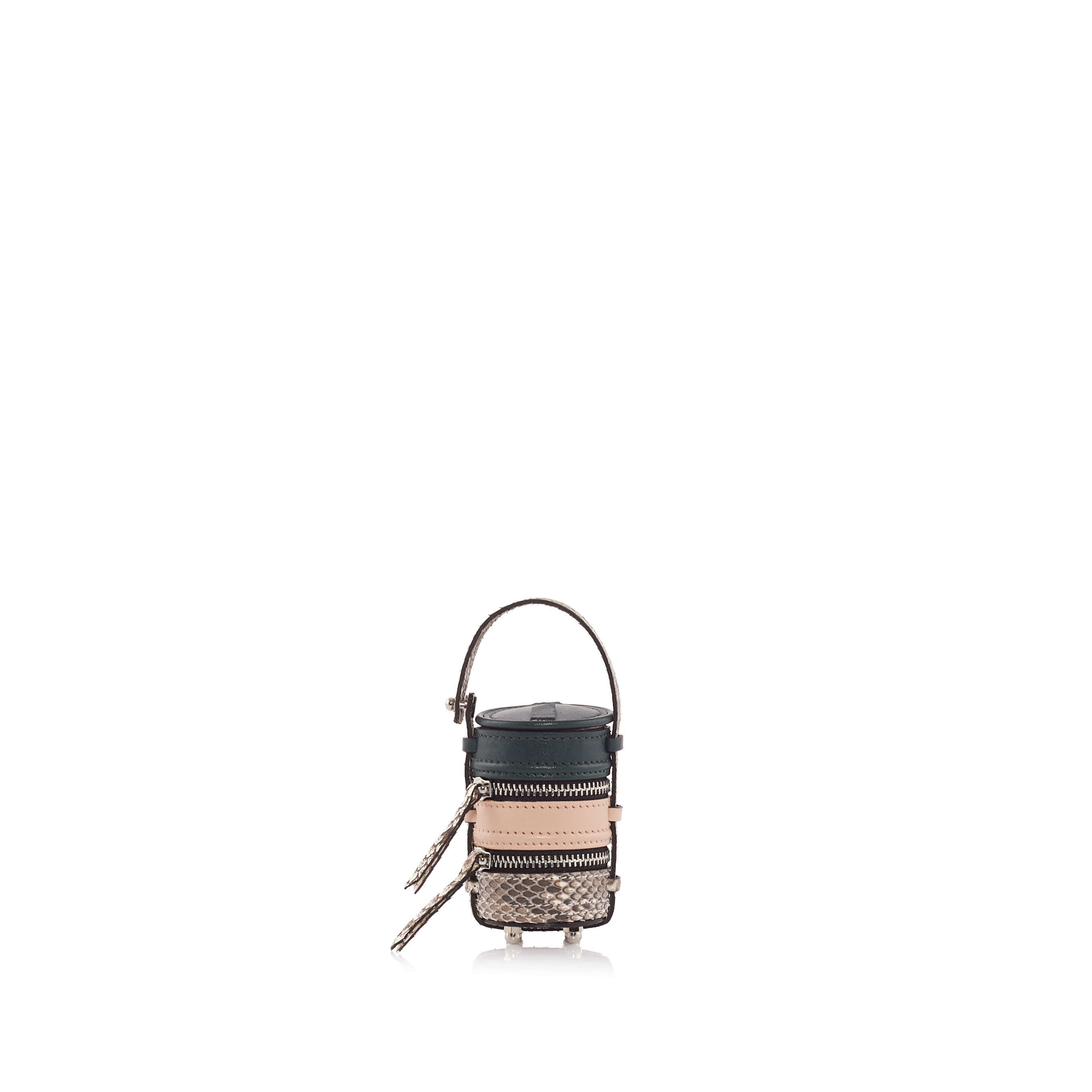 TINY PINTO | CACTUS