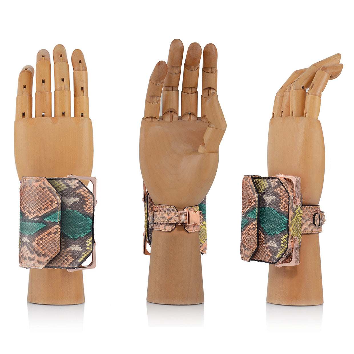 WATCH EXOTIC | CORAL REEF