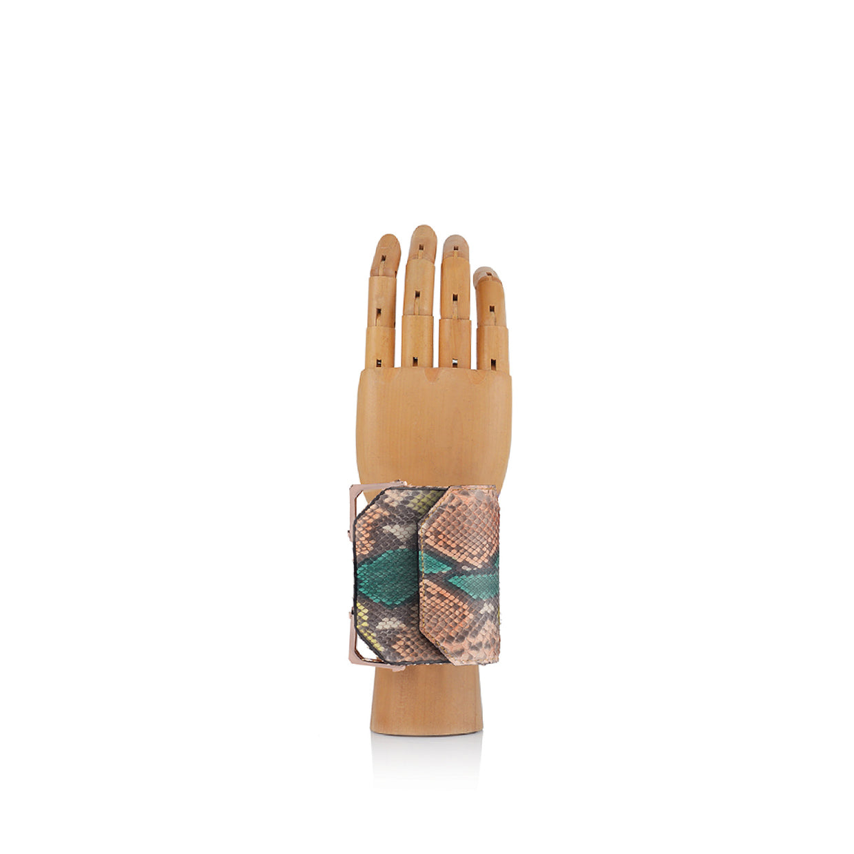 WATCH EXOTIC | CORAL REEF