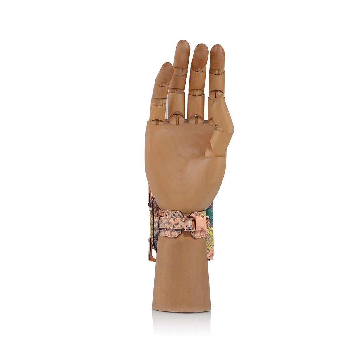 WATCH EXOTIC | CORAL REEF