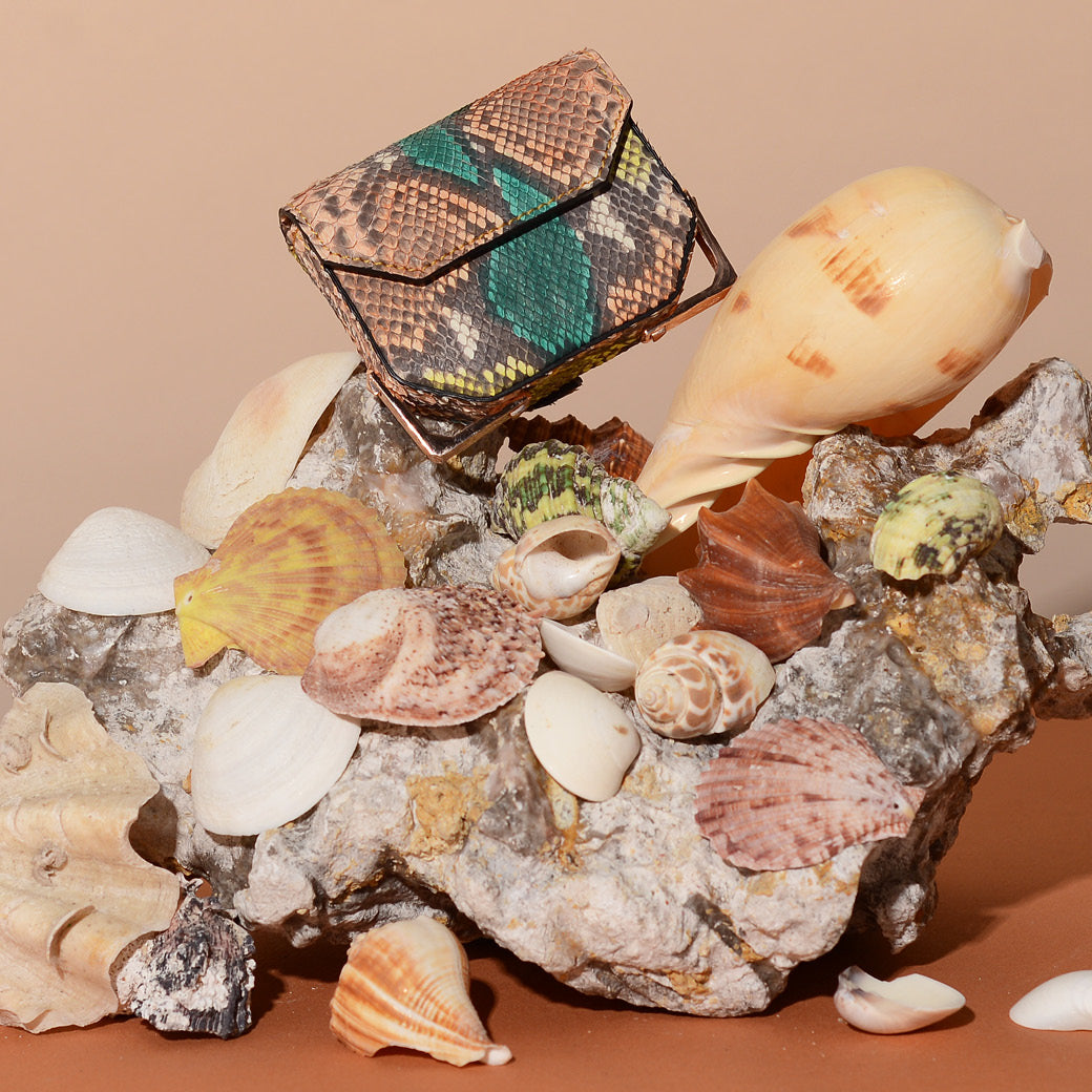 WATCH EXOTIC | CORAL REEF
