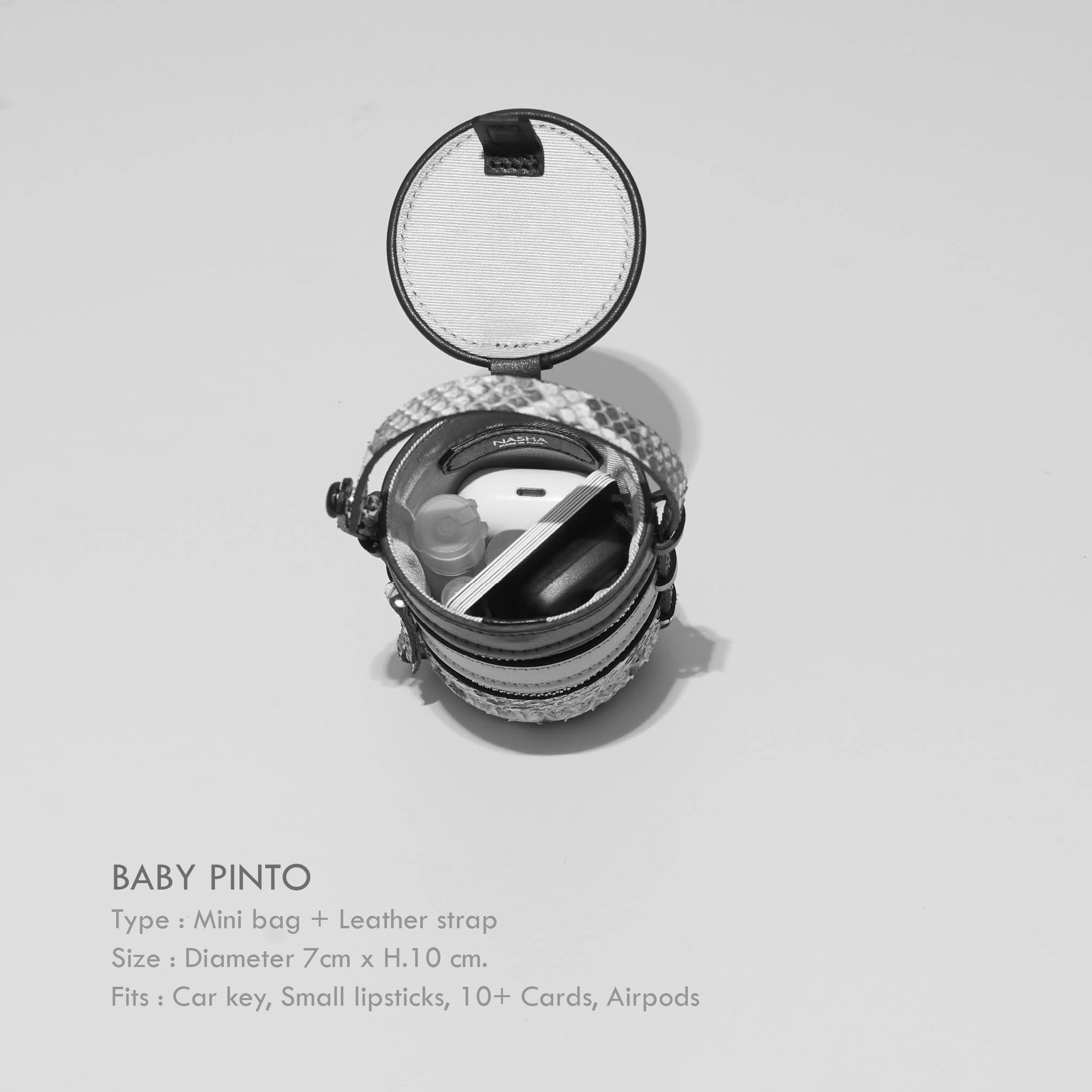 BABY PINTO | SQUID INK