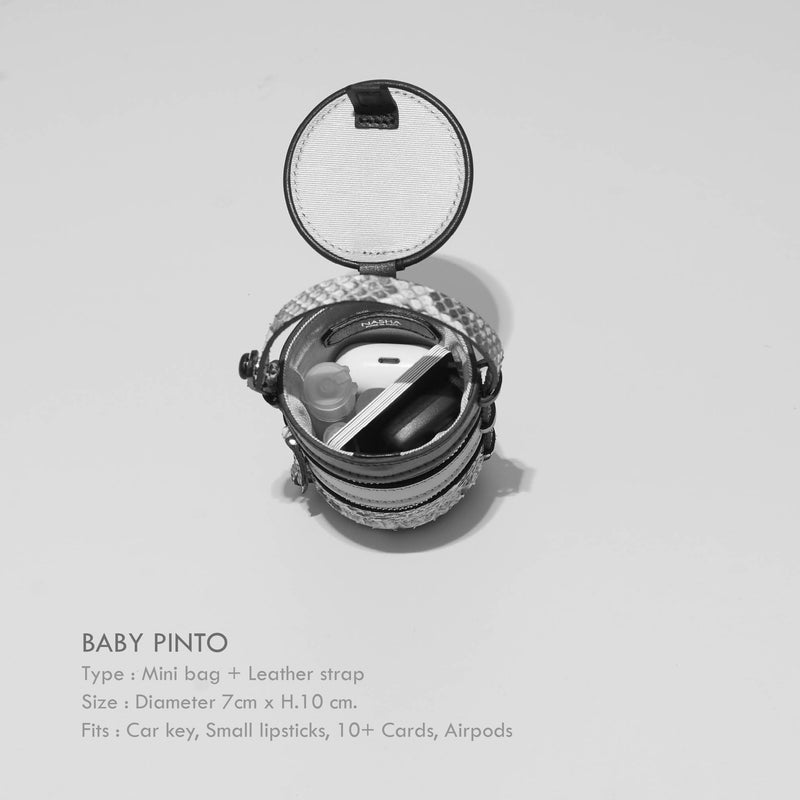 BABY PINTO | SQUID INK